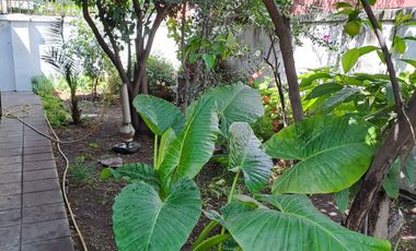 Espectacular terreno de 525mt2 en venta con 2 casas, comercial/residencial. Lindo jardín, muy bien mantenidas. Propiedad apta salud, deporte, educación, otros