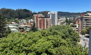 Departamento 1 dormitorio, balcón, sector San Juan Bosco, Concepción