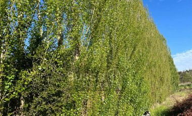 Parcela 5.000m2 Quincho y Piscina