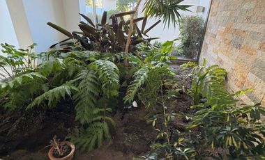 Venta De Departamento En Montemar, Concón