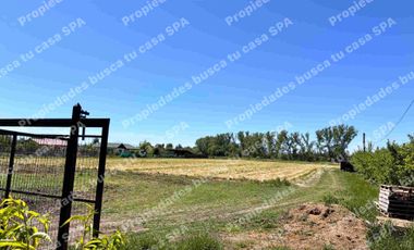 Hermosa parcela 5.000m2 en peralillo