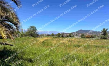 Hermosa parcela 5.000m2 en peralillo