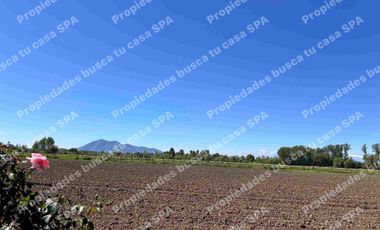 Hermosa parcela 5.000m2 en peralillo