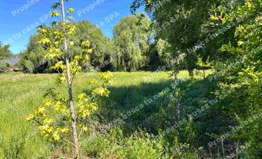 Hermosa parcela 5.000m2 en peralillo