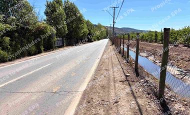 Hermosa parcela 5.000m2 en peralillo