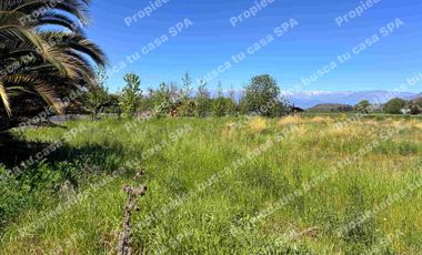 Hermosa parcela 5.000m2 en peralillo