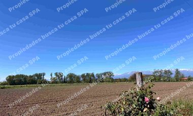 Hermosa parcela 5.000m2 en peralillo