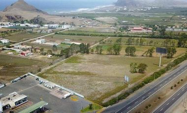 Venta de Terreno en Panamericana Sur – Totoritas, Mala, Cañete | USD 70 x m² | Área total: 56,000 m²