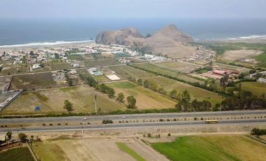 Venta de Terreno en Panamericana Sur – Totoritas, Mala, Cañete | USD 70 x m² | Área total: 56,000 m²