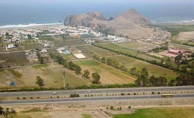 Venta de Terreno en Panamericana Sur – Totoritas, Mala, Cañete | USD 70 x m² | Área total: 56,000 m²