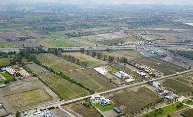 Venta de Terreno en Panamericana Sur – Totoritas, Mala, Cañete | USD 70 x m² | Área total: 56,000 m²