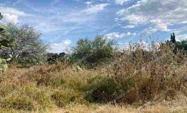 Terreno en Venta en Granja San Carlos