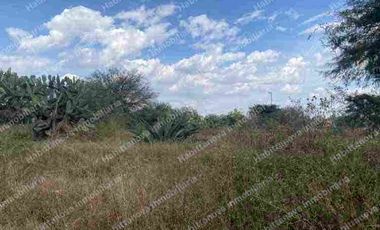 Terreno en Venta en Granja San Carlos