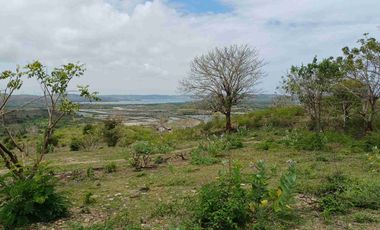Dijual tanah view pantai di Kuta Mandalika lombok