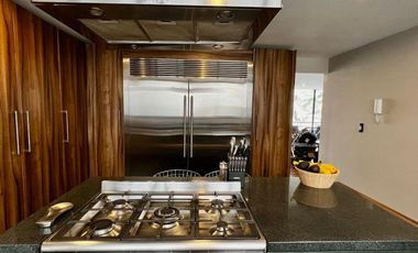Venta de Amplio Departamento en Exclusiva Sección de Polanco, Remodelado con Terraza.