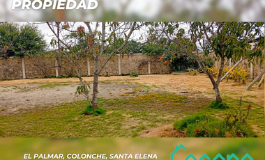 Propiedad, El Palmar, Colonche, Santa Elena