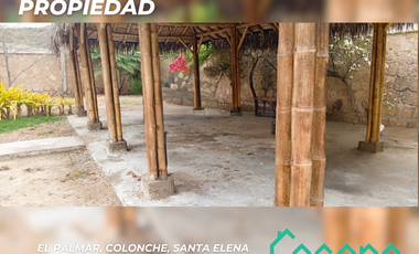 Propiedad, El Palmar, Colonche, Santa Elena