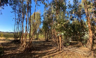 Se Vende Hermosa Parcela De 5.000m² En Pumanque, 6ta Región.