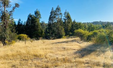 Se Vende Hermosa Parcela De 5.000m² En Pumanque, 6ta Región.