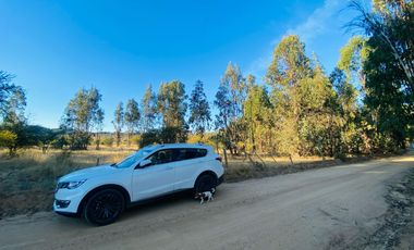 Se Vende Hermosa Parcela De 5.000m² En Pumanque, 6ta Región.