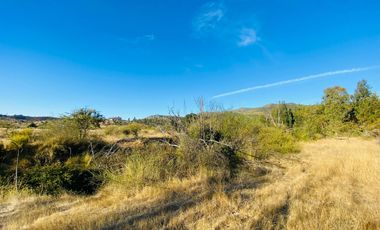 Se Vende Hermosa Parcela De 5.000m² En Pumanque, 6ta Región.