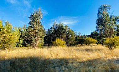 Se Vende Hermosa Parcela De 5.000m² En Pumanque, 6ta Región.