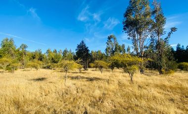 Se Vende Hermosa Parcela De 5.000m² En Pumanque, 6ta Región.