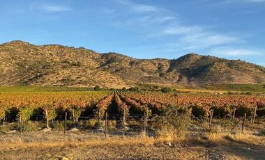 Se Vende Hermosa Parcela De 5.000m² En Pumanque, 6ta Región.