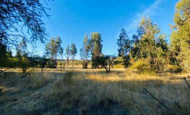 Se Vende Hermosa Parcela De 5.000m² En Pumanque, 6ta Región.