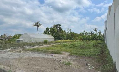 TANAH ISTIMEWA MURAH LOKASI STRATEGIS DI JALAN NGALANGAN RAYA COCOK BUAT HUNIAN MAUPUN VILLA MEWAH MASIH BANYAK PENGEMBANGAN