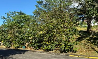 Prime Lot in Ayala Greenfield Estate Calamba Laguna