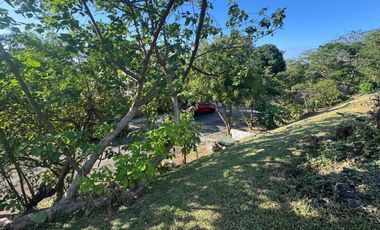 Prime Lot in Ayala Greenfield Estate Calamba Laguna