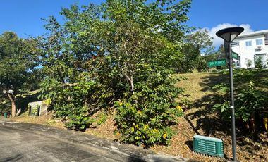 Prime Lot in Ayala Greenfield Estate Calamba Laguna