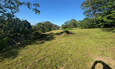 Prime Lot in Ayala Greenfield Estate Calamba Laguna