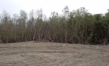 95370 - ขาย ที่ดินเปล่า (ถมแล้ว) ตำบลบ้านบ่อ อำเภอเมืองสมุทรสาคร จังหวัดสมุทรสาคร