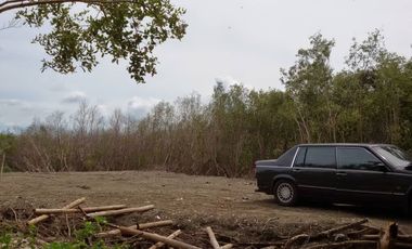 95370 - ขาย ที่ดินเปล่า (ถมแล้ว) ตำบลบ้านบ่อ อำเภอเมืองสมุทรสาคร จังหวัดสมุทรสาคร