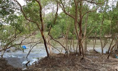 95370 - ขาย ที่ดินเปล่า (ถมแล้ว) ตำบลบ้านบ่อ อำเภอเมืองสมุทรสาคร จังหวัดสมุทรสาคร