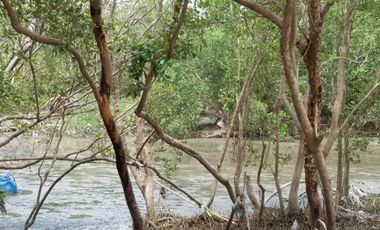 95370 - ขาย ที่ดินเปล่า (ถมแล้ว) ตำบลบ้านบ่อ อำเภอเมืองสมุทรสาคร จังหวัดสมุทรสาคร