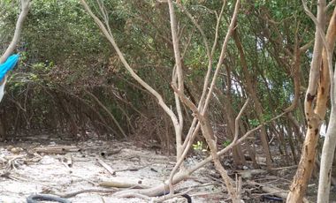 95370 - ขาย ที่ดินเปล่า (ถมแล้ว) ตำบลบ้านบ่อ อำเภอเมืองสมุทรสาคร จังหวัดสมุทรสาคร