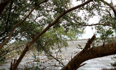 95370 - ขาย ที่ดินเปล่า (ถมแล้ว) ตำบลบ้านบ่อ อำเภอเมืองสมุทรสาคร จังหวัดสมุทรสาคร