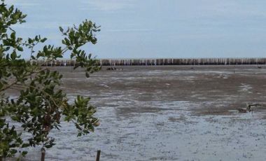 95370 - ขาย ที่ดินเปล่า (ถมแล้ว) ตำบลบ้านบ่อ อำเภอเมืองสมุทรสาคร จังหวัดสมุทรสาคร