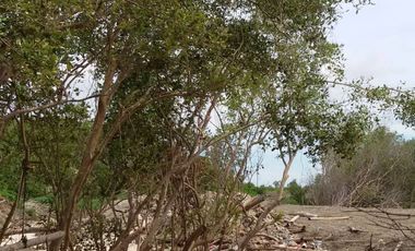 95370 - ขาย ที่ดินเปล่า (ถมแล้ว) ตำบลบ้านบ่อ อำเภอเมืองสมุทรสาคร จังหวัดสมุทรสาคร