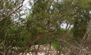 95370 - ขาย ที่ดินเปล่า (ถมแล้ว) ตำบลบ้านบ่อ อำเภอเมืองสมุทรสาคร จังหวัดสมุทรสาคร