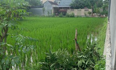 Tanah Premium di Kota Mataram Lombok