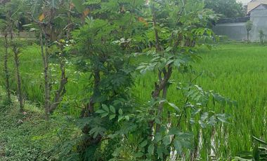 Tanah Premium di Kota Mataram Lombok