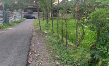 Tanah Premium di Kota Mataram Lombok