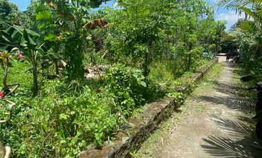 Dijual Tanah Pekarangan Murah di Bangunkerto Turi Tempel