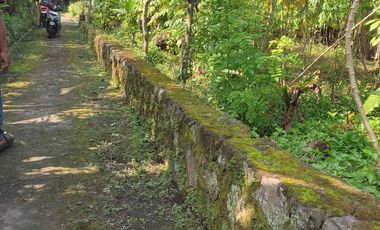 Dijual Tanah Pekarangan Murah di Bangunkerto Turi Tempel