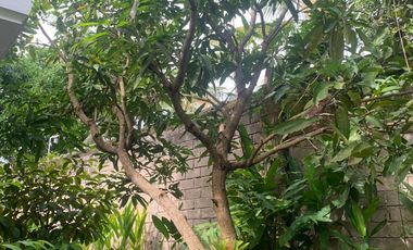 Villa Pribadi di Pulau Lombok