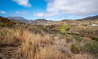 Parcela de 5933 m2, hermosa vista. Sector La Estrella de El Rosario. La Serena. $28 millones
